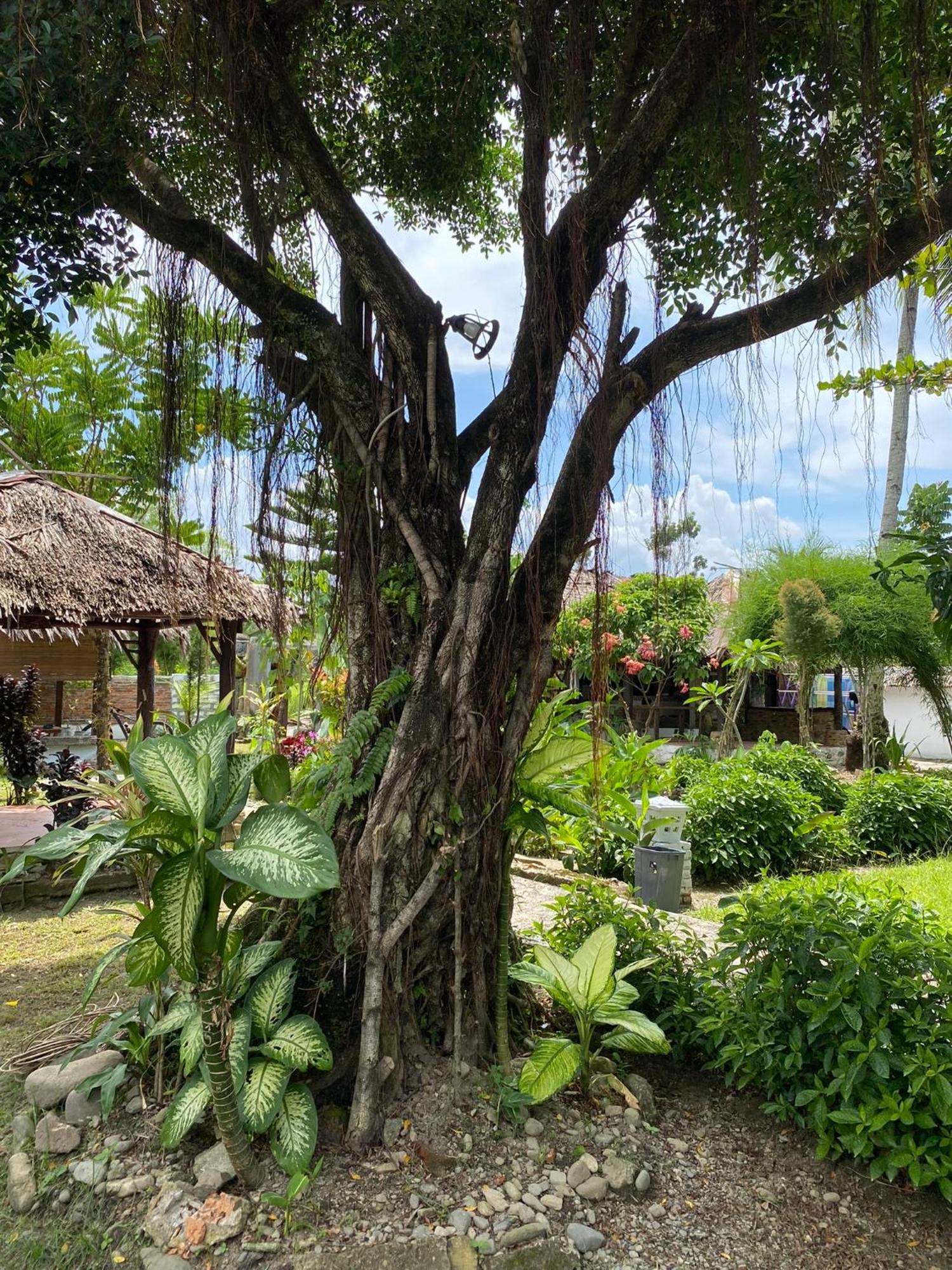 Villa Paradise Bukit Lawang Exterior photo